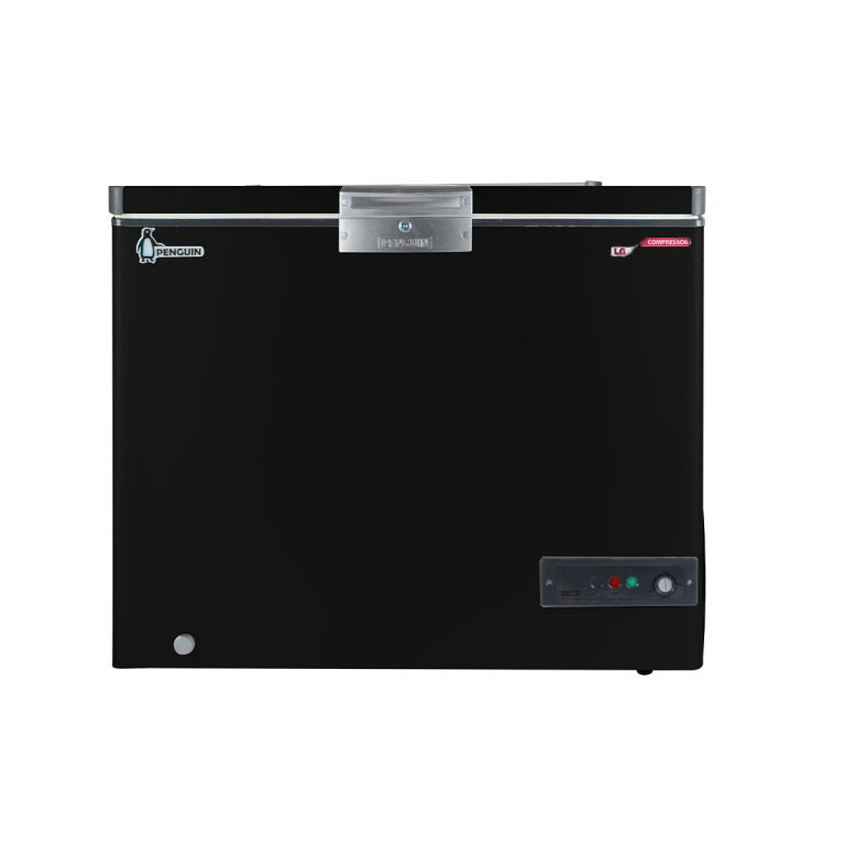 Chest freezr / ES-290L / 250 litre